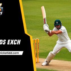 online cricket id whatsapp number