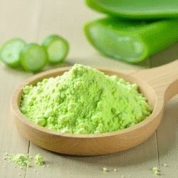 Aloe Vera Extract Powder