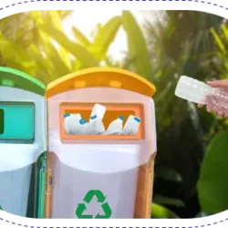Plastic Waste Recycling