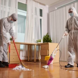 From Chaos to Comfort: How Professional Hoarding Cleaning Transforms Homes