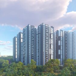 Total Environment Rajankunte