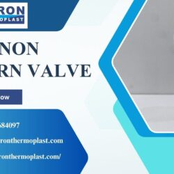 PVDF Non Return Valve