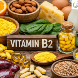 Vitamin B2