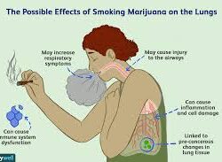 Is Smoking Weed Bad