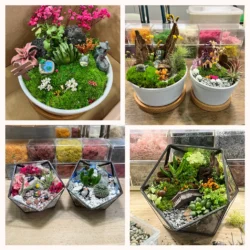 terrarium workshop singapore